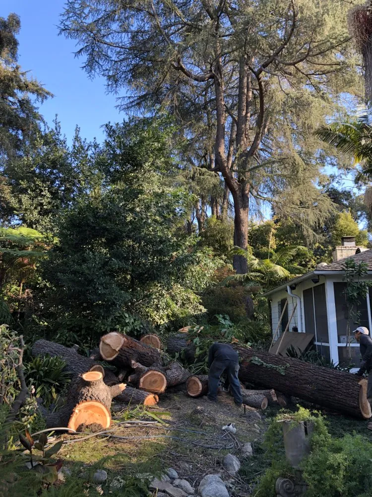 Custom landscaping services in Altadena, CA by SoCal Landscape and Trees