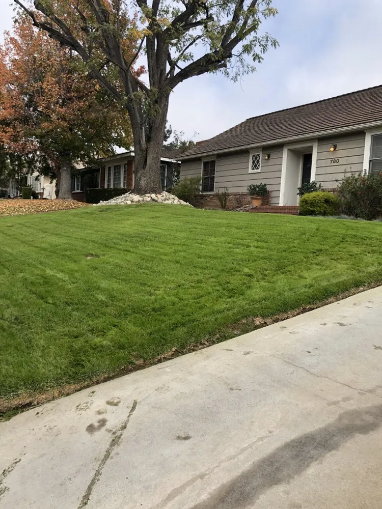 Affordable landscaping services in Altadena, CA by SoCal Landscape and Trees