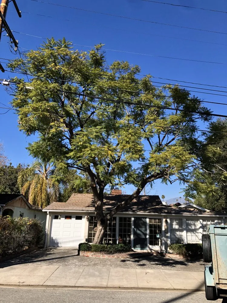 Local lawn care service in Altadena, CA by SoCal Landscape and Trees