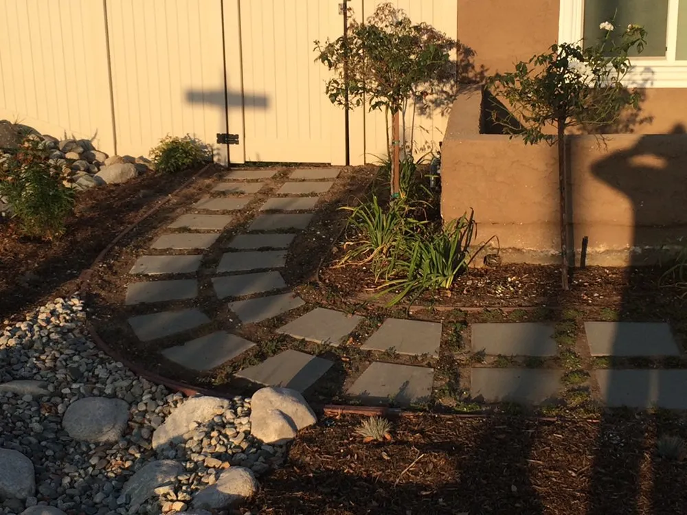Trusted yard cleanup service in Altadena, CA by SoCal Landscape and Trees