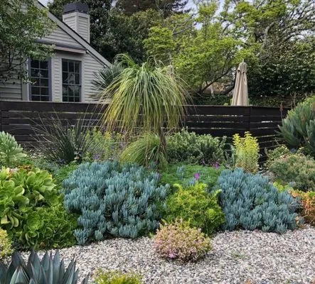 SoCal Landscape and Trees Logo