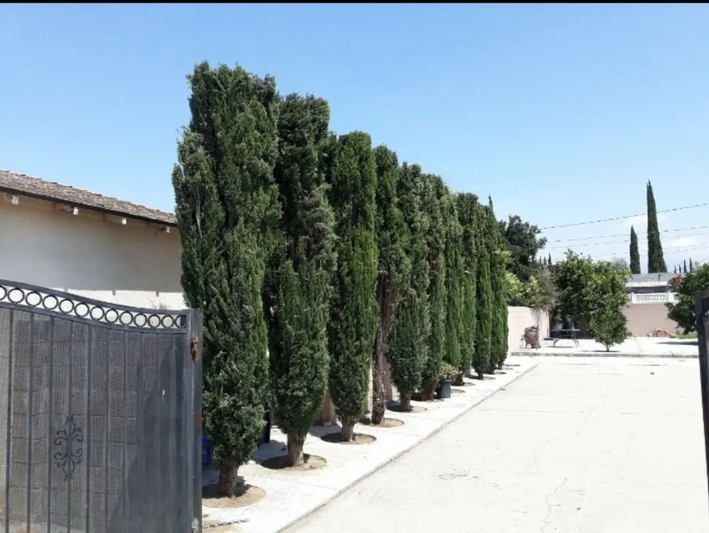 Affordable garden landscaping for residential properties across Hemet, CA - Socal Landscapers