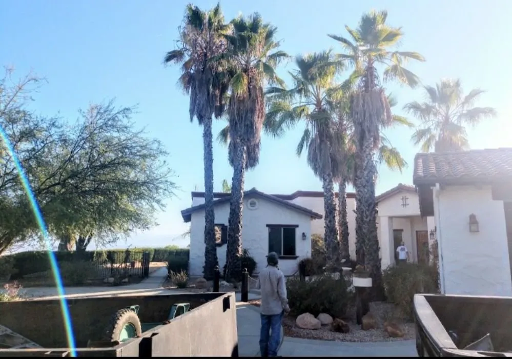 Custom yard maintenance for year-round maintenance in Hemet, CA by Socal Landscapers