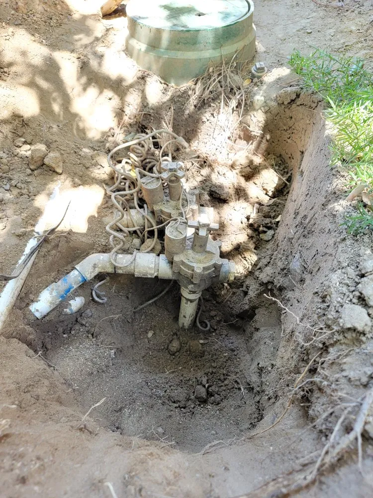 Trusted yard cleanup service in Santa Clarita, CA - Socal Landscaping & Maintenance