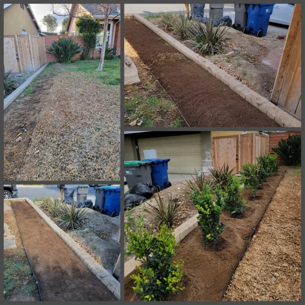 Custom yard cleanup service experts serving Santa Clarita, CA - Socal Landscaping & Maintenance