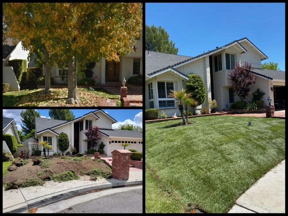 Top-rated garden landscaping in Santa Clarita, CA by Socal Landscaping & Maintenance