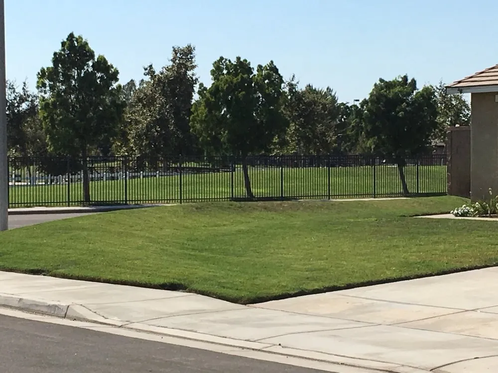 Reliable yard cleanup service for outdoor upgrades across Eastville, CA - SoCal Landscaping Maintenance