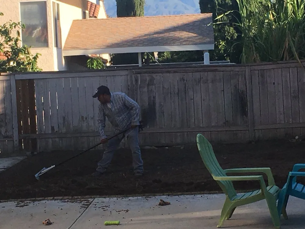 Local yard maintenance near you across Eastville, CA - SoCal Landscaping Maintenance