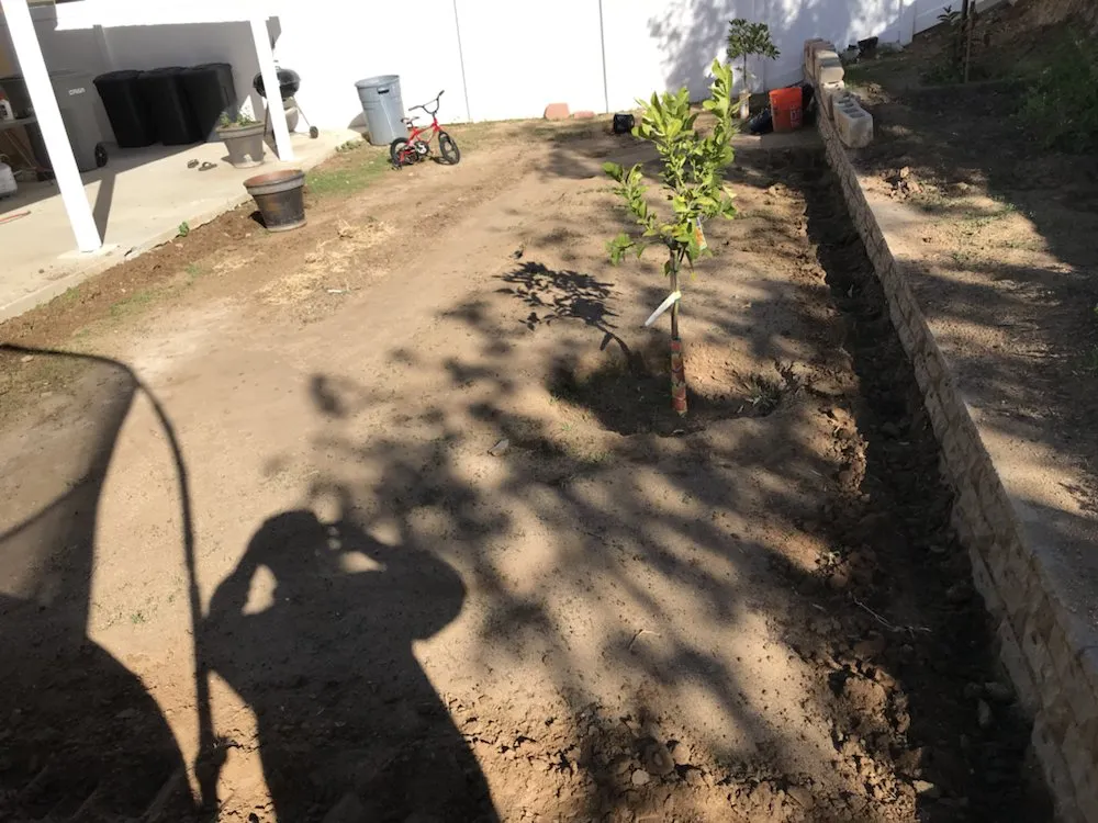 Custom yard cleanup service in Eastville, CA - SoCal Landscaping Maintenance