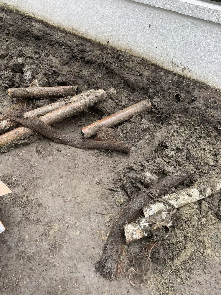 Reliable lawn care service in San Juan Capistrano, CA by Socal Landscaping