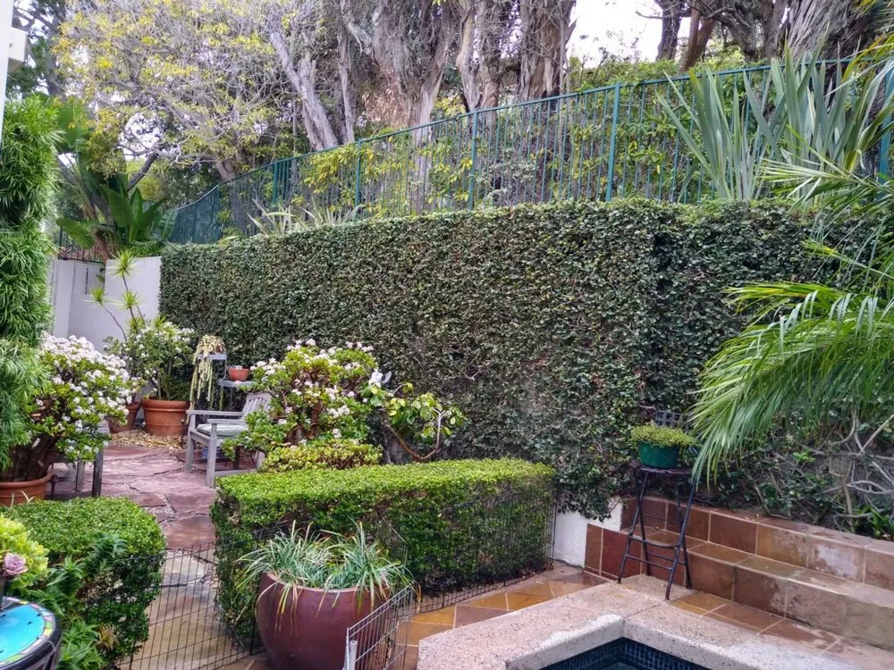 Expert garden landscaping in San Juan Capistrano, CA by Socal Landscaping