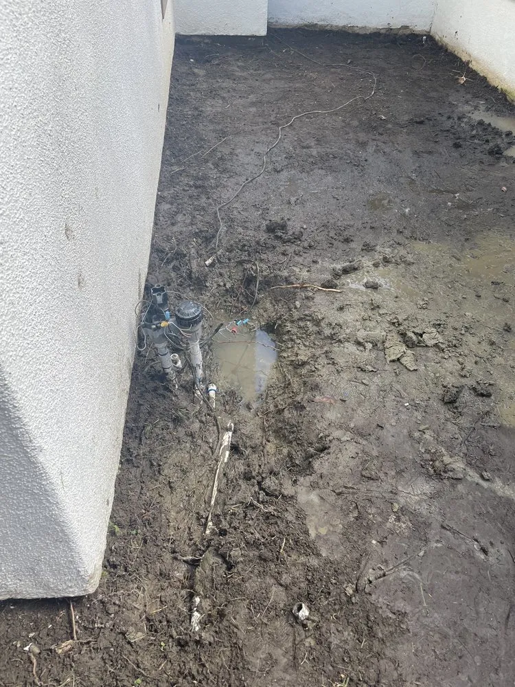 Top-rated landscape design in San Juan Capistrano, CA by Socal Landscaping