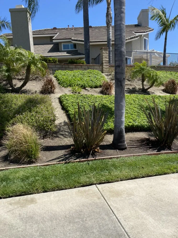 Custom lawn mowing service for outdoor upgrades in San Juan Capistrano, CA by Socal Landscaping