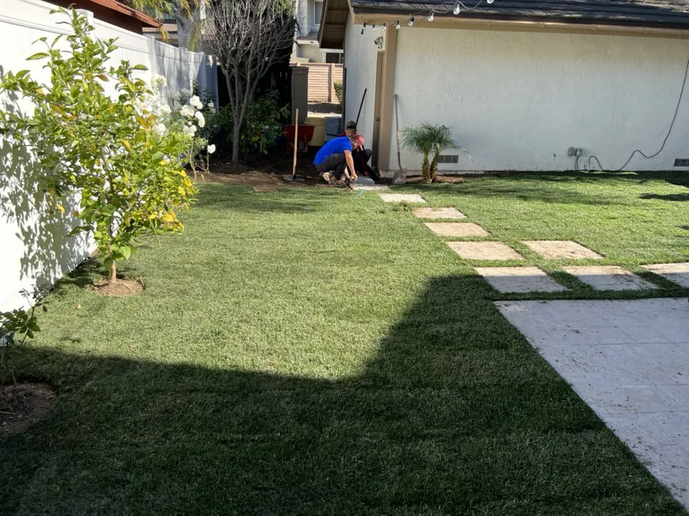 Affordable residential landscaping experts serving San Juan Capistrano, CA - Socal Landscaping