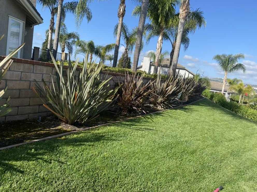 Local landscape design in San Juan Capistrano, CA - Socal Landscaping