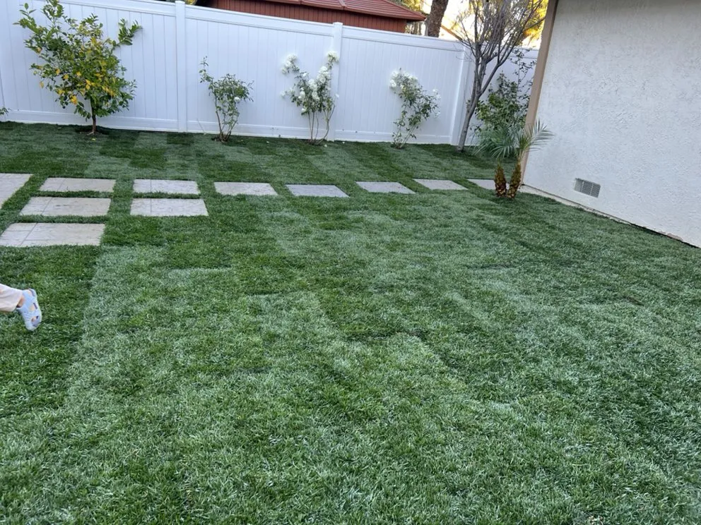 Custom outdoor landscaping in San Juan Capistrano, CA - Socal Landscaping
