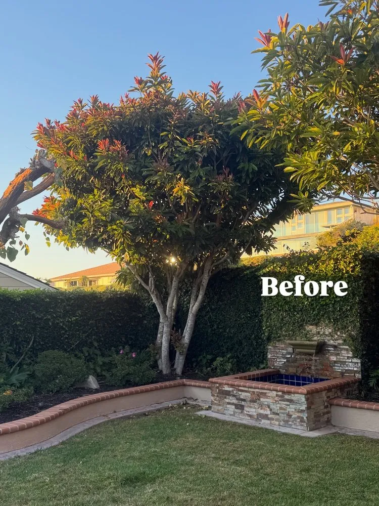 Affordable outdoor landscaping experts serving Fullerton, CA - SoCal Lawn care and Maintenance