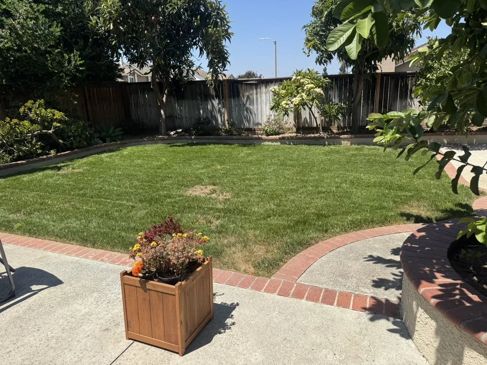 Trusted yard maintenance experts serving Fullerton, CA - SoCal Lawn care and Maintenance