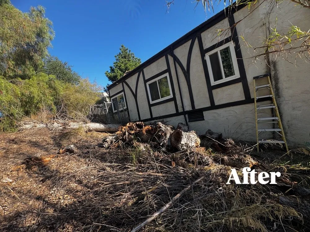 Reliable yard cleanup service experts serving Fullerton, CA - SoCal Lawn care and Maintenance