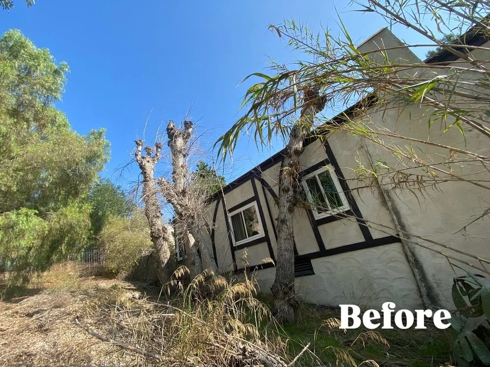 Trusted yard cleanup service in Fullerton, CA by SoCal Lawn care and Maintenance