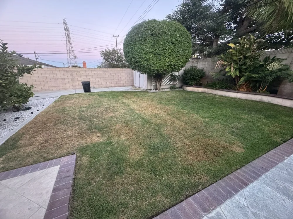Trusted lawn care service experts serving Fullerton, CA - SoCal Lawn care and Maintenance