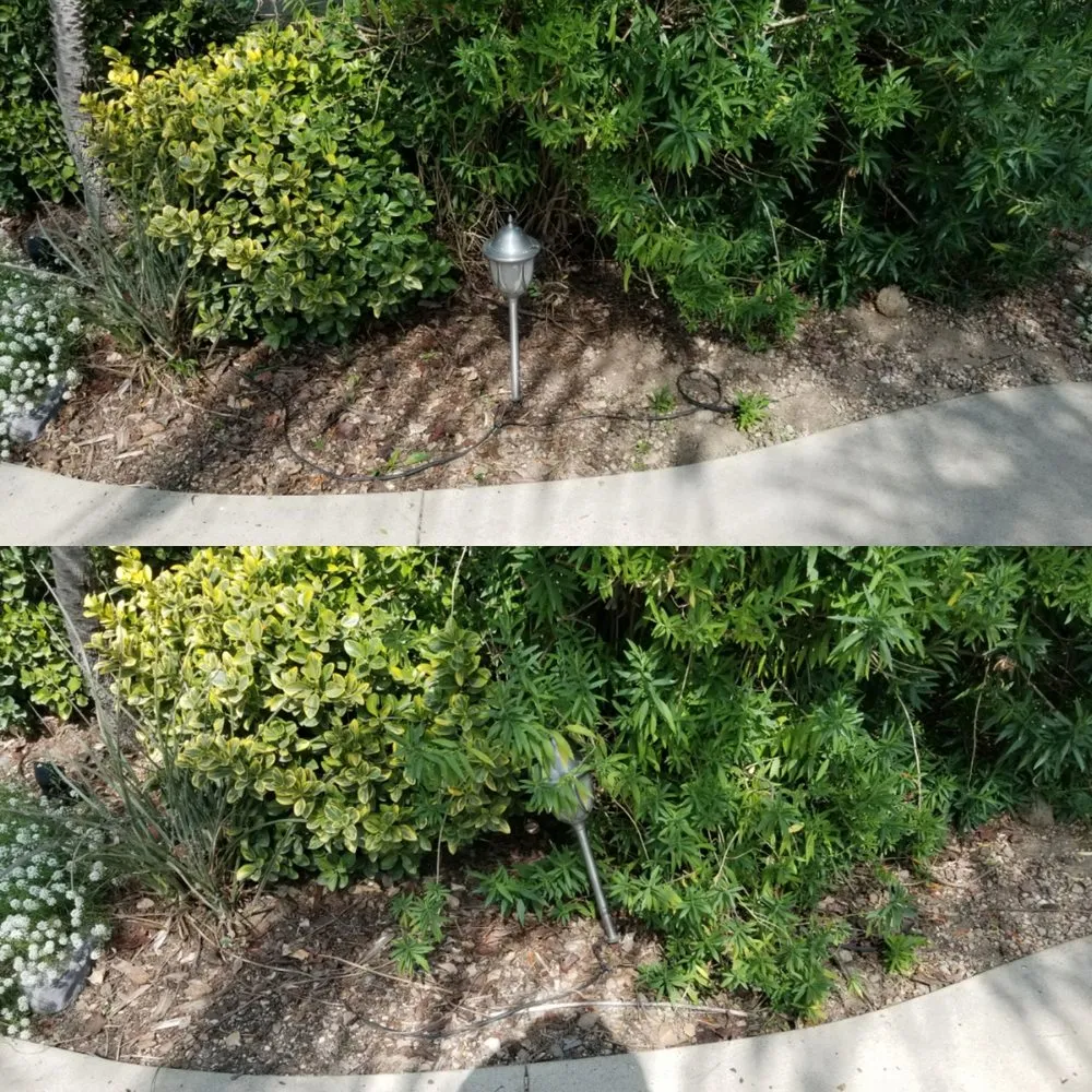 Custom yard cleanup service for year-round maintenance in Montclair, CA by SoCal Lawn Pros