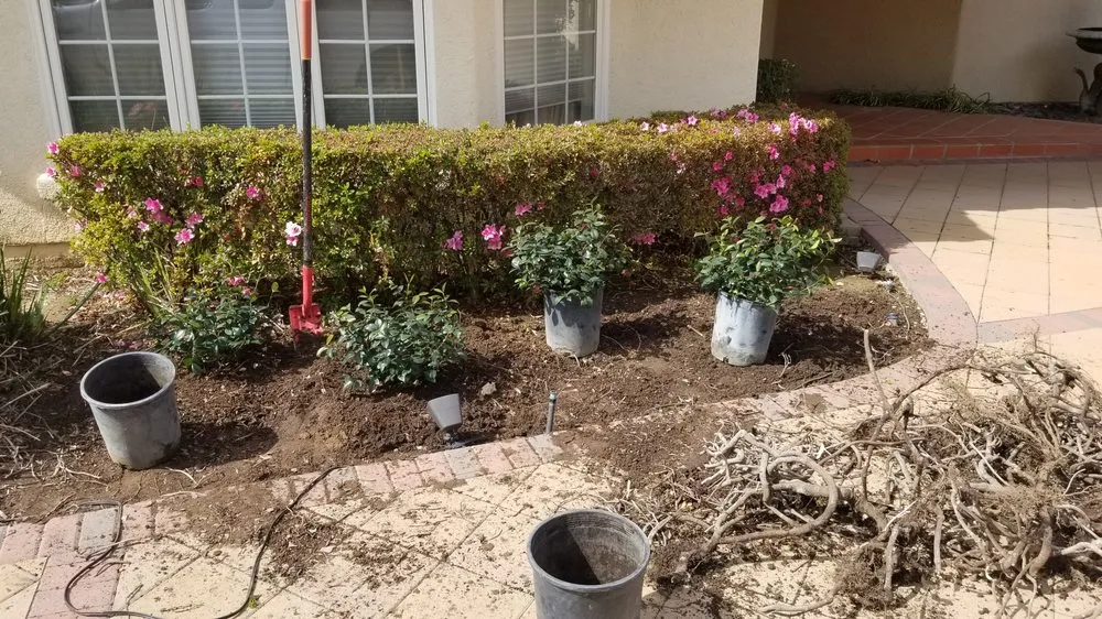Trusted outdoor landscaping in Montclair, CA - SoCal Lawn Pros