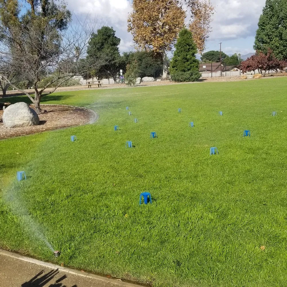 Top-rated landscaping services for beautiful yards across Montclair, CA - SoCal Lawn Pros