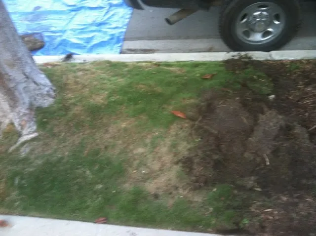 Trusted landscape design for year-round maintenance in Hemet, CA by Socal Mr Fix It