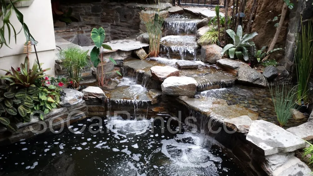 Trusted lawn care service with custom design in Sunland, CA by SoCal Ponds