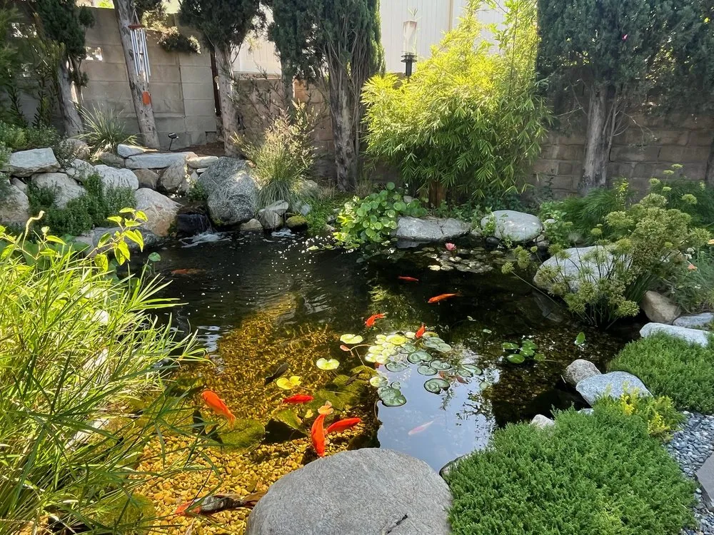 Professional garden landscaping in Sunland, CA - SoCal Ponds