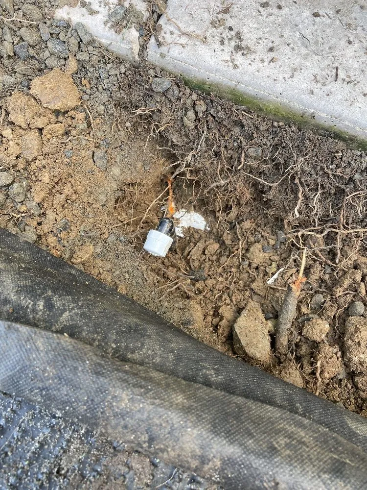 Trusted garden landscaping in San Marcos, CA by Socal Synthetic Lawns and Putting Greens