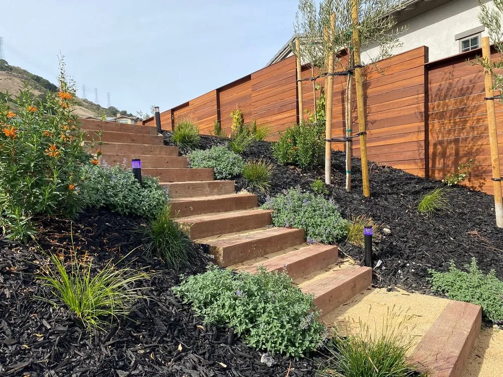 Affordable landscaping services for year-round maintenance across Brentwood, CA - Social Spaces