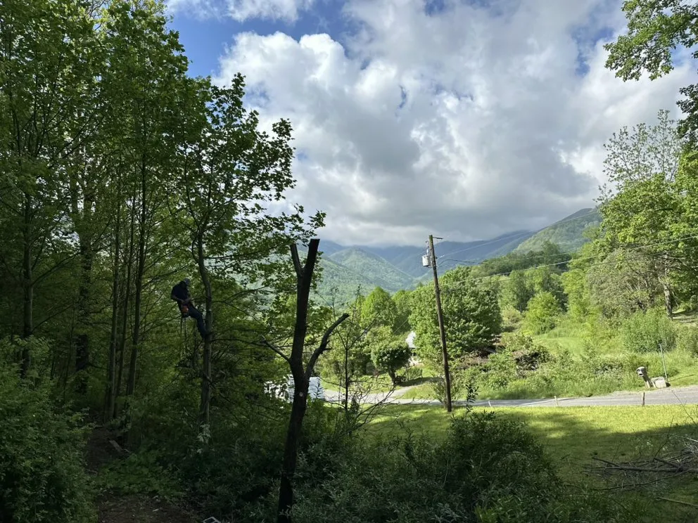 Custom yard cleanup service experts serving Maggie Valley, NC - Soco Gap Landscaping & Excavating