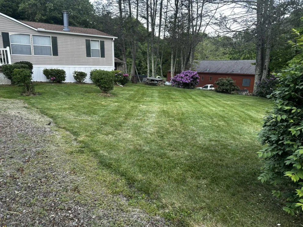 Reliable outdoor landscaping for year-round maintenance in Maggie Valley, NC by Soco Gap Landscaping & Excavating
