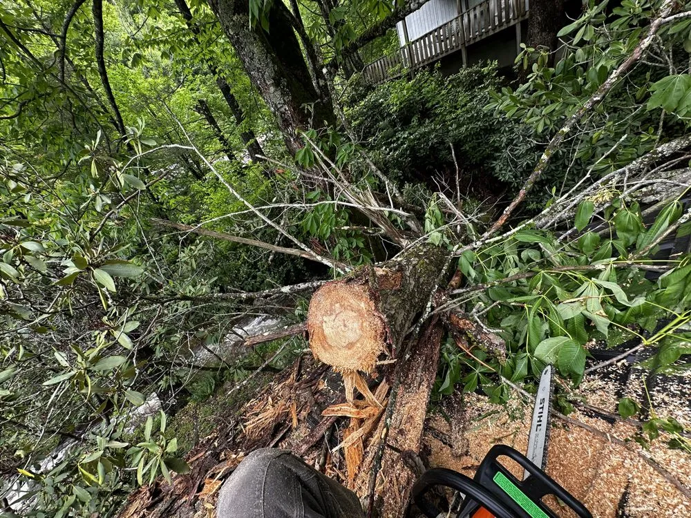 Expert garden landscaping in Maggie Valley, NC - Soco Gap Landscaping & Excavating