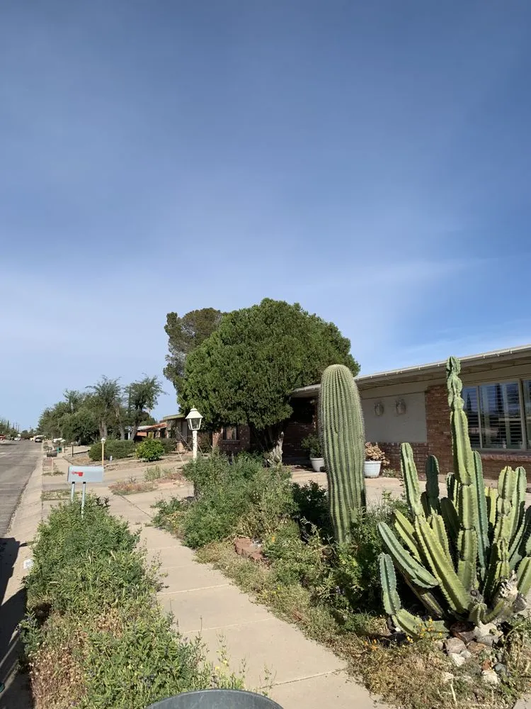 Trusted yard cleanup service experts serving Tucson, AZ - SoCo Landscape Maintenance