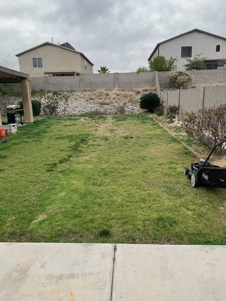 Affordable landscaping services in Tucson, AZ - SoCo Landscape Maintenance