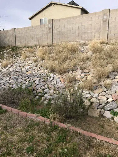 Trusted yard cleanup service for year-round maintenance across Tucson, AZ - SoCo Landscape Maintenance