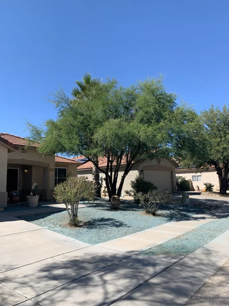 Reliable landscape installation in Tucson, AZ by SoCo Landscape Maintenance