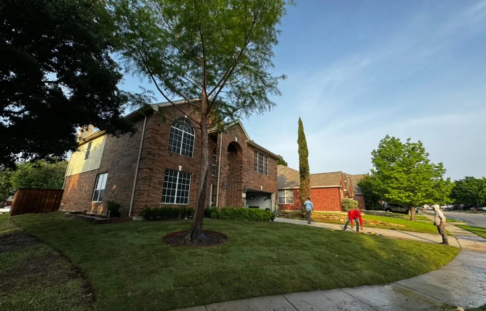 Custom landscape design for outdoor upgrades across Dallas, TX - Sod & landscape installation by Blum