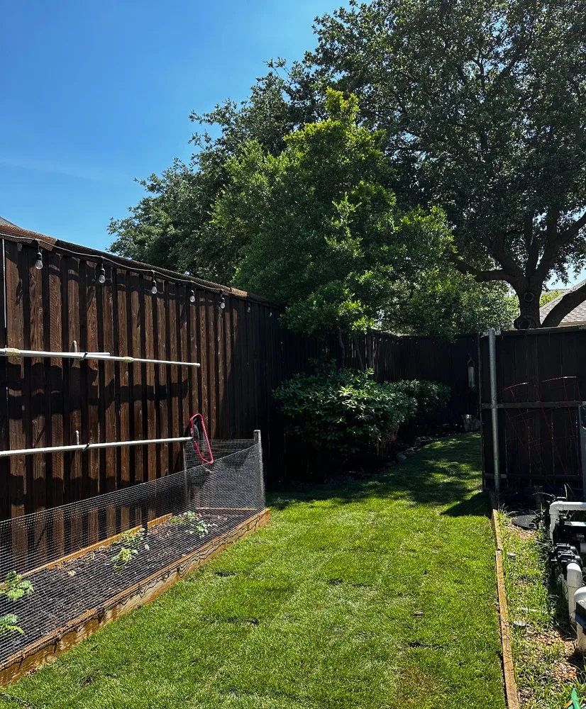 Affordable landscape design experts serving Dallas, TX - Sod & landscape installation by Blum