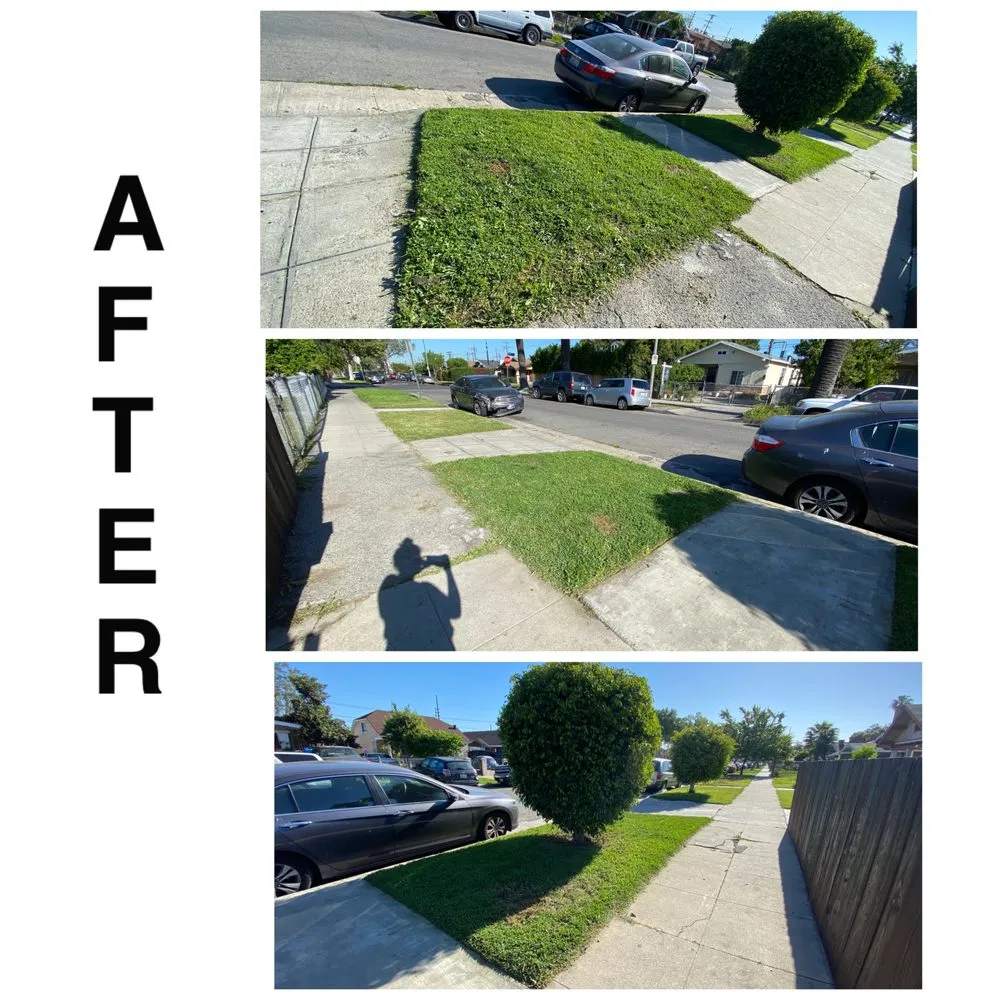 Affordable residential landscaping for residential properties across Sun Valley, CA - Sod & Turf Pros