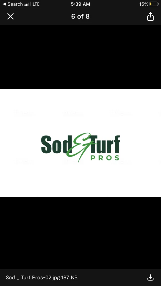 Expert yard cleanup service experts serving Sun Valley, CA - Sod & Turf Pros