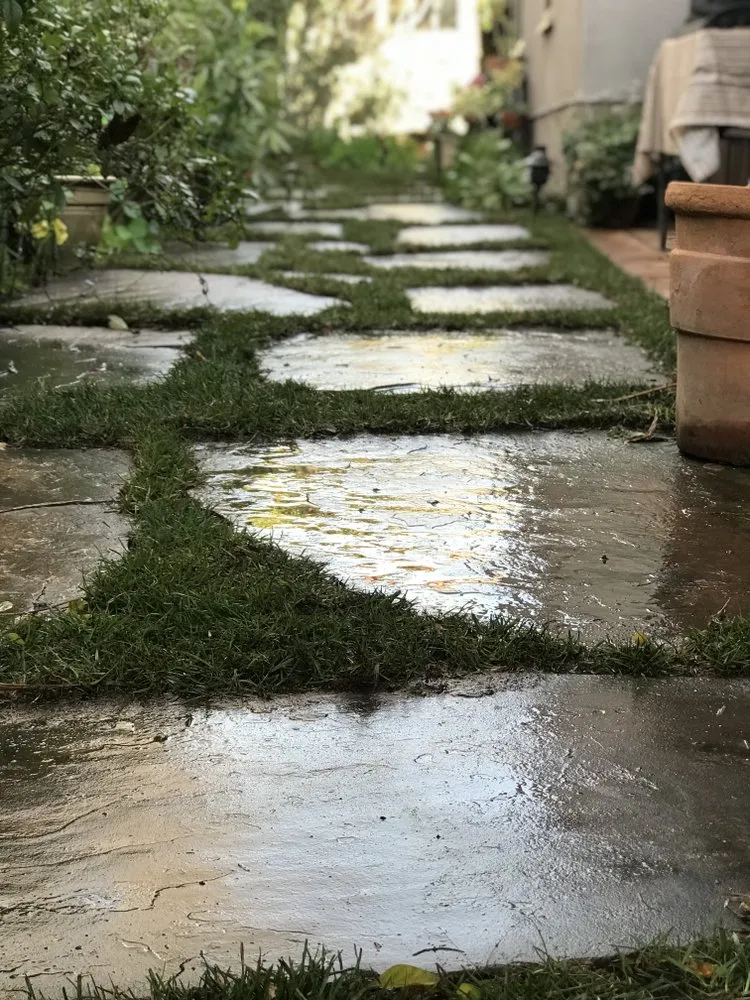 Top-rated landscaping services experts serving Sun Valley, CA - Sod & Turf Pros