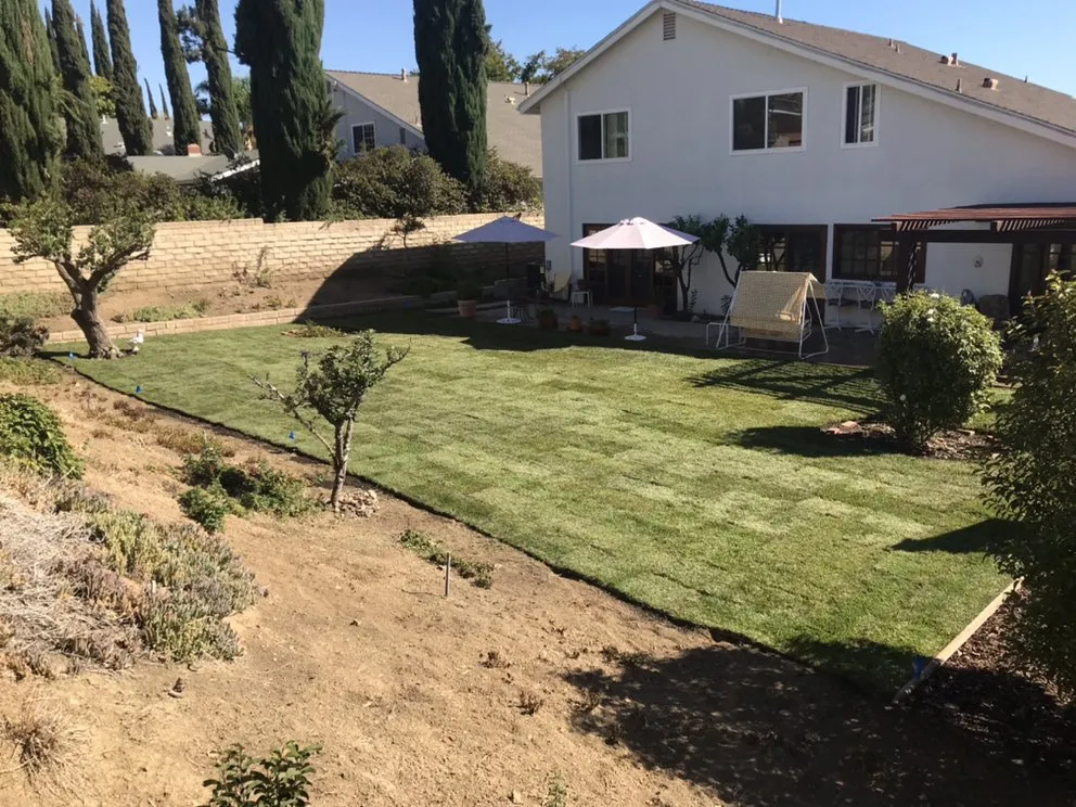 Professional landscape design near you in Sun Valley, CA by Sod & Turf Pros