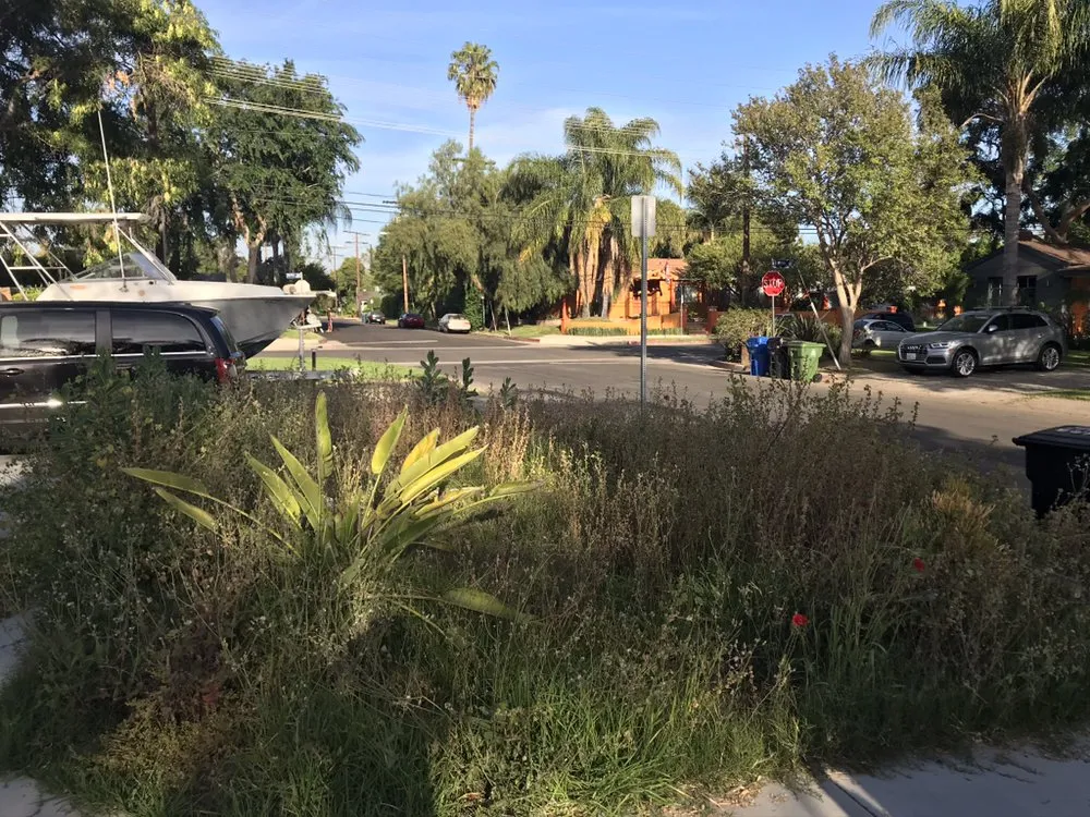 Custom landscaping services experts serving Sun Valley, CA - Sod & Turf Pros