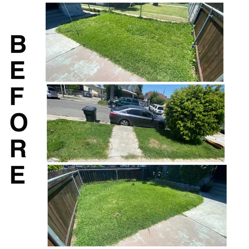 Affordable yard maintenance in Sun Valley, CA by Sod & Turf Pros