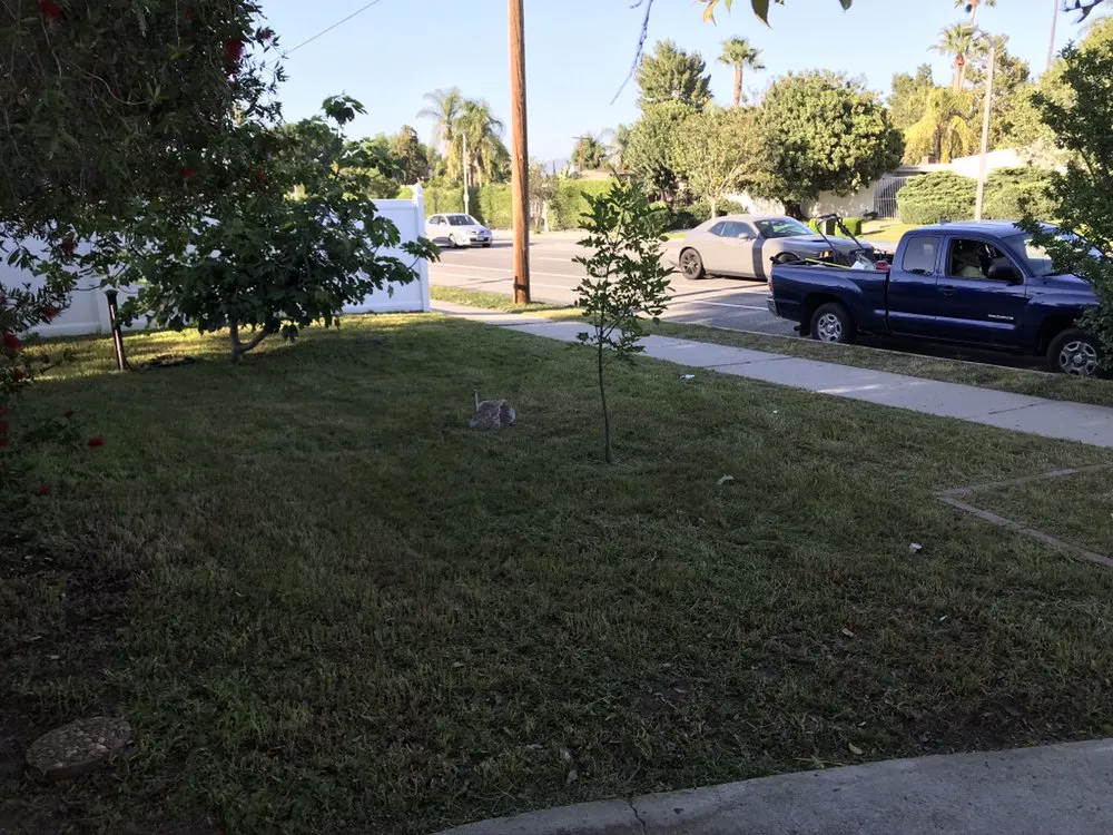 Reliable lawn mowing service in Sun Valley, CA - Sod & Turf Pros