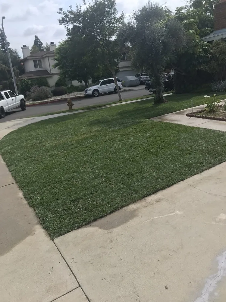Professional residential landscaping experts serving Sun Valley, CA - Sod & Turf Pros